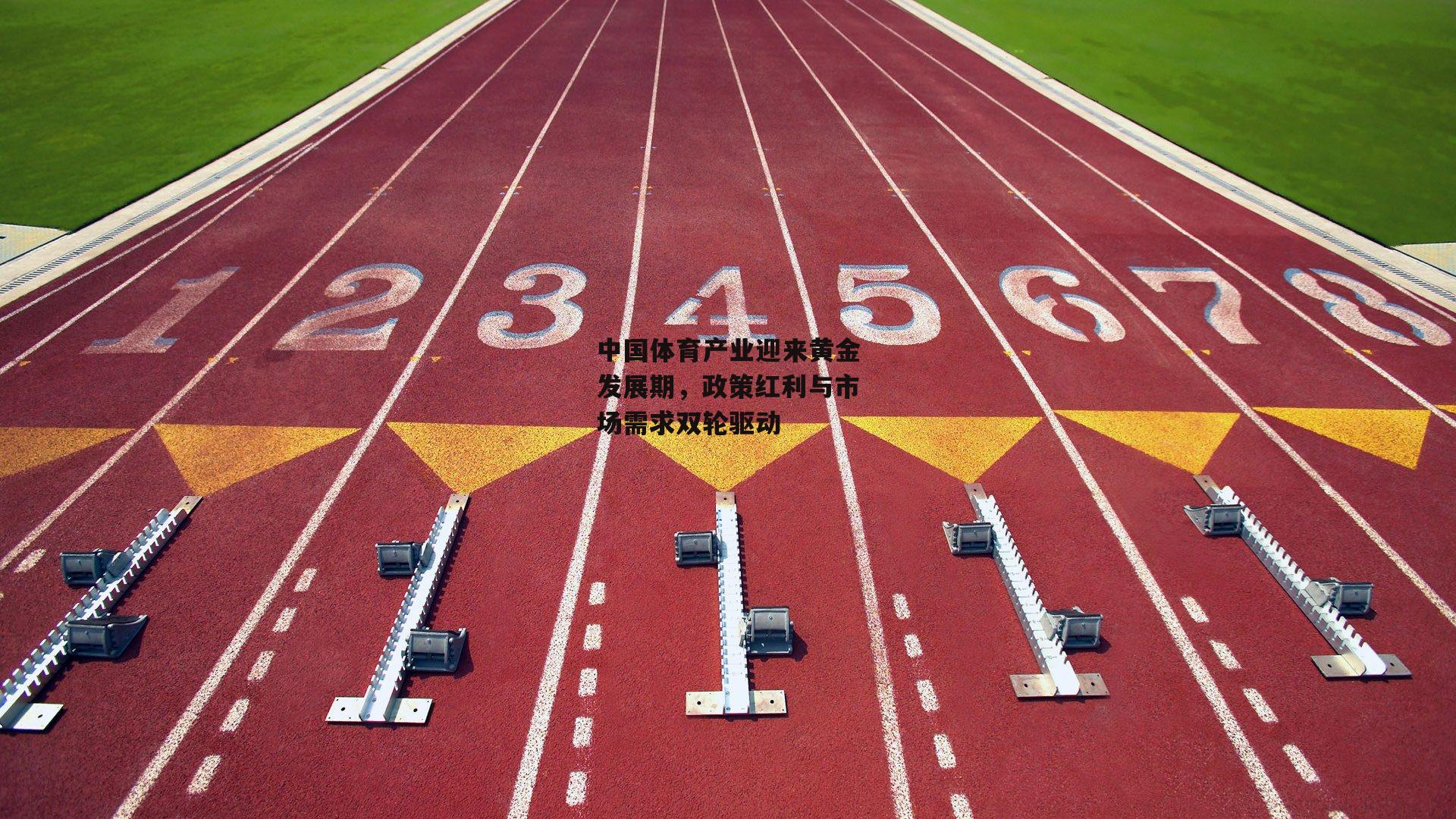 中国体育产业迎来黄金发展期,政策红利与市场需求双轮驱动