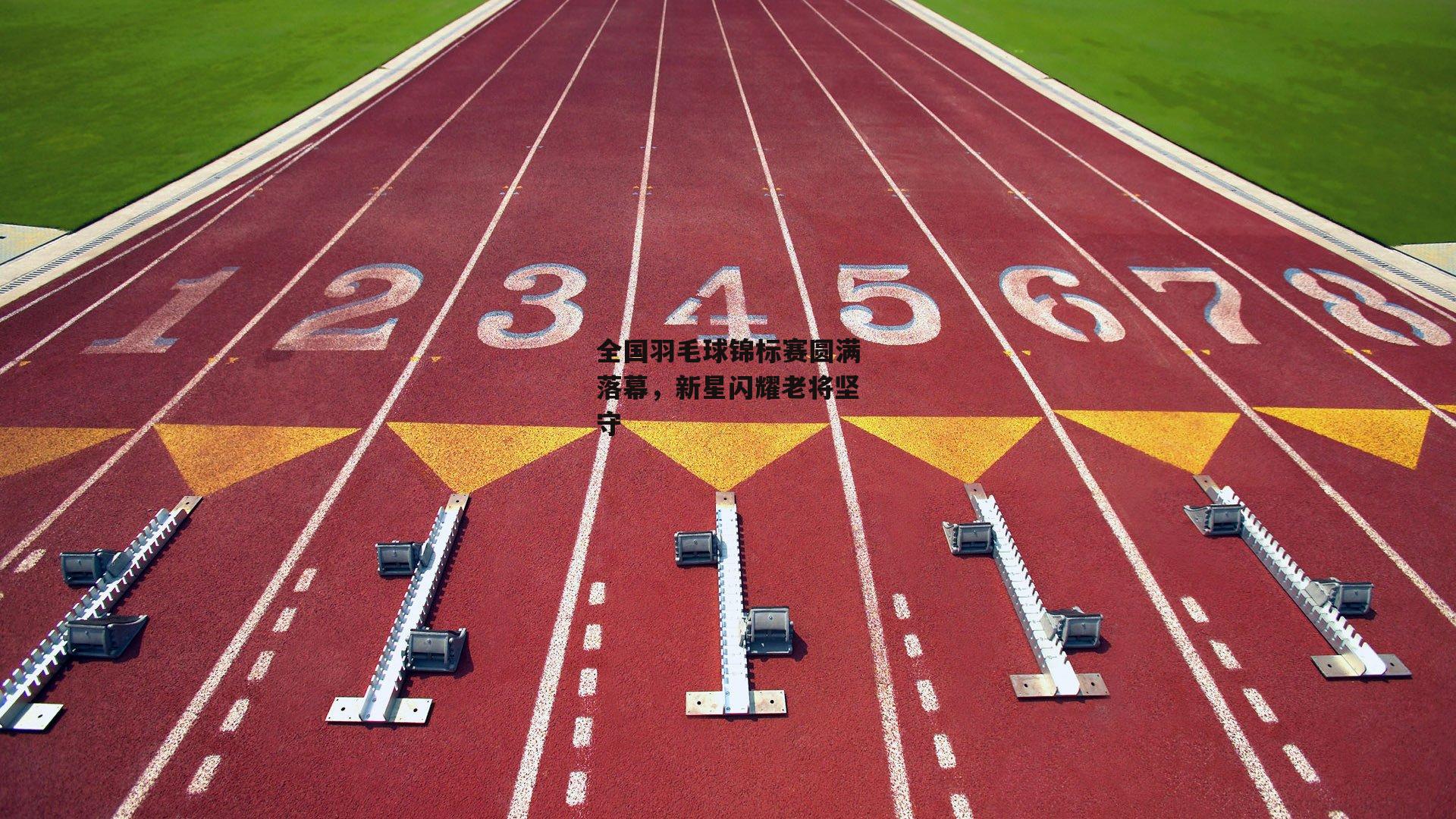 全国羽毛球锦标赛圆满落幕,新星闪耀老将坚守